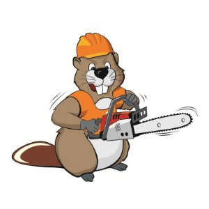 Beavers Tree Service of Tampa Bay, Inc.