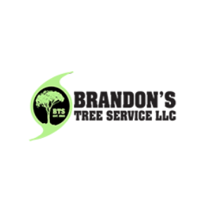 Brandon_s Tree Service LLC