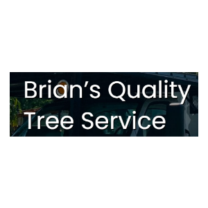 Brian's Quality Tree Service
