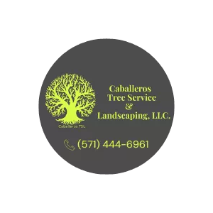 Caballeros Tree Service and Landscaping, LLC
