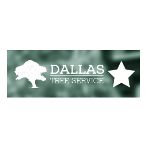 Dallas Tree Service