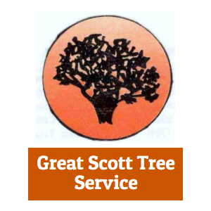 Great Scott Tree Service