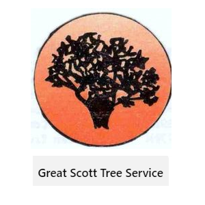 Great Scott Tree Service