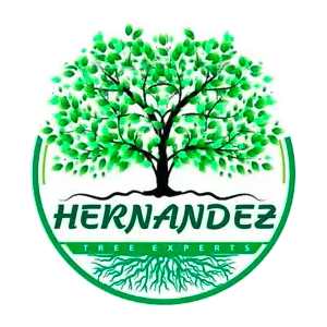 Hernandez Tree Experts