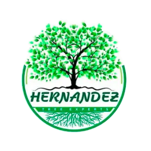 Hernandez Tree Experts