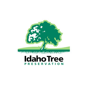 Idaho Tree Preservation