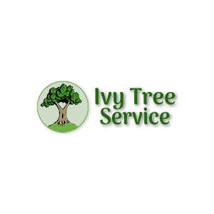 Ivy Tree Services LLC
