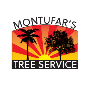 Montufar_s Tree Service