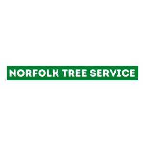 Norfolk Tree Service