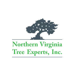 Northern Virginia Tree Experts, Inc.