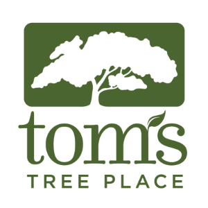 Tom_s Tree Place
