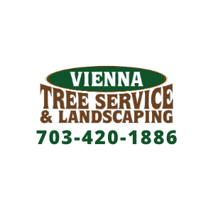 Vienna Tree Service and Landscaping