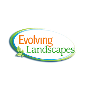 Evolving Landscapes