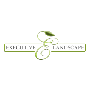 Executive Landscape
