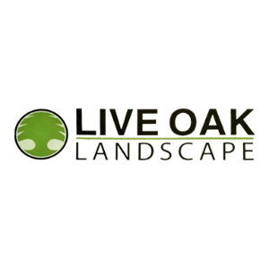 Live Oak Landscape