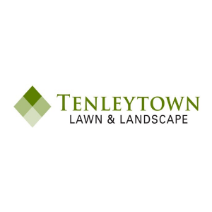 Tenleytown Lawn _ Landscape