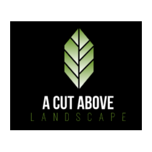 A Cut Above Landscape