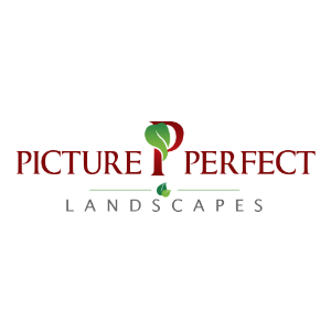 Picture Perfect Landscapes