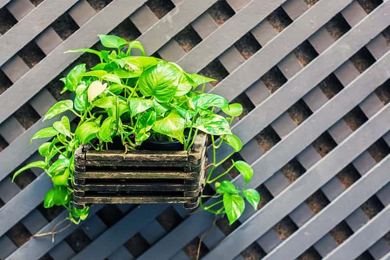 14 Awesome Tire Planter Ideas For the Garden You Try Today