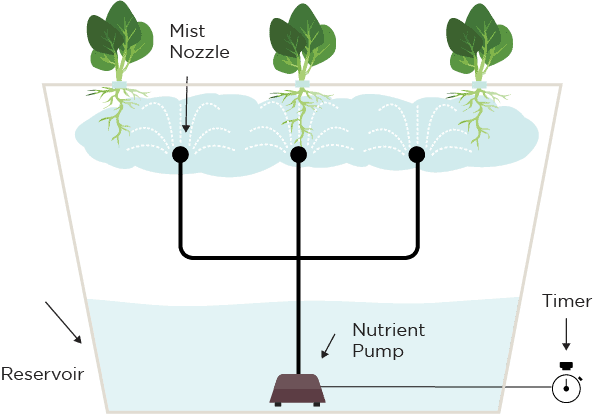 Aeroponics