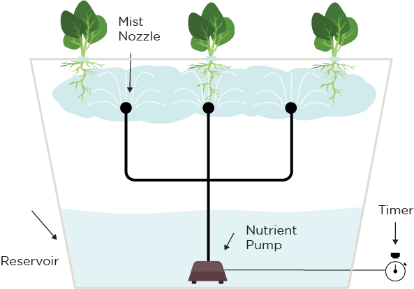 Aeroponics