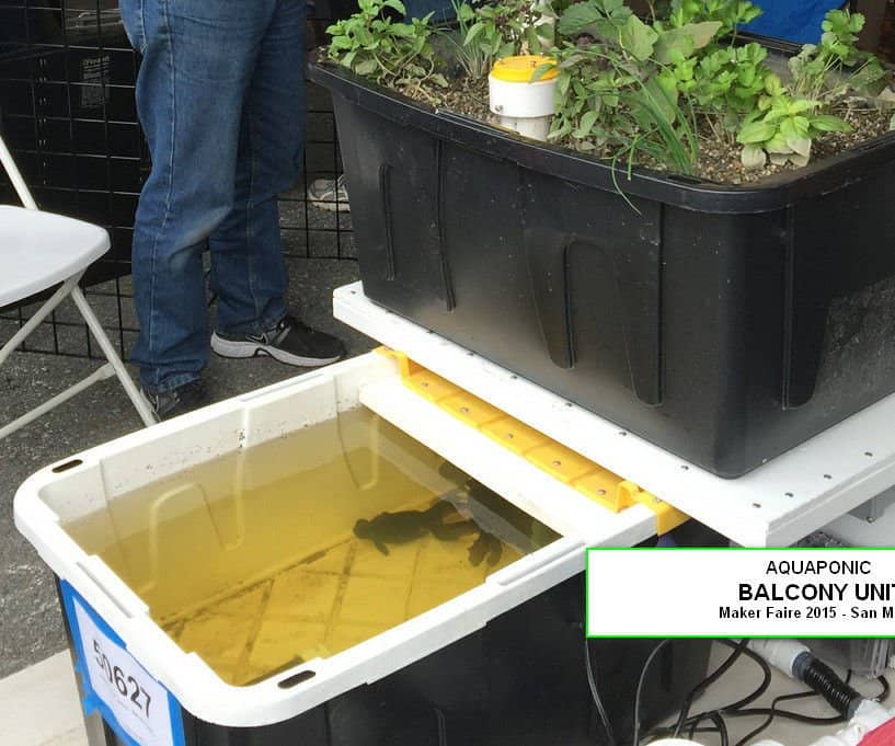 Aquaponic Balcony Garden by Rik Kretzinger