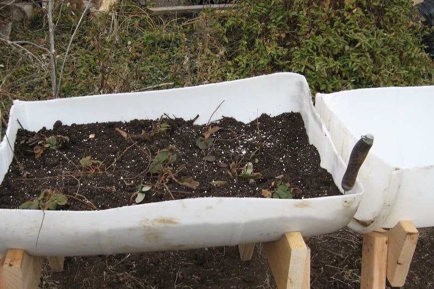 Barrel Raised Bed