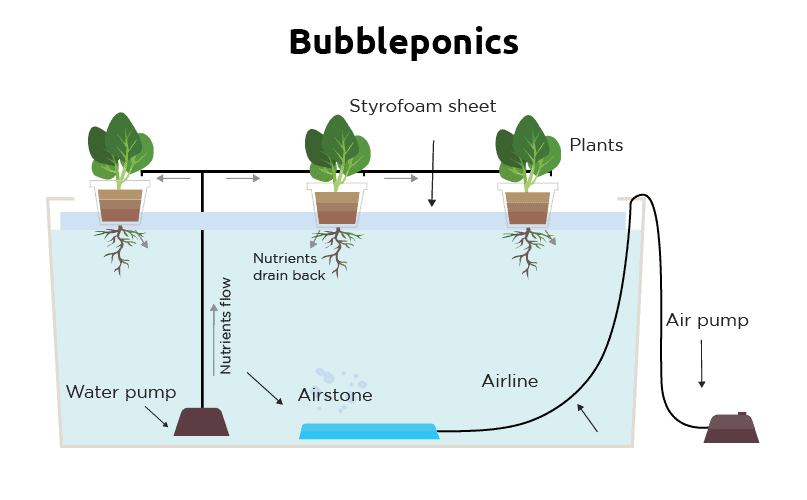 Bubbleponics system
