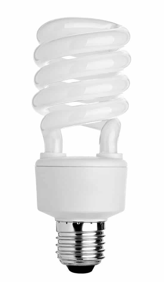 CFL bulb