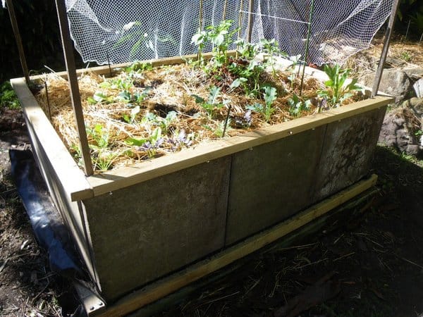 Concrete Pavers Raised Bed