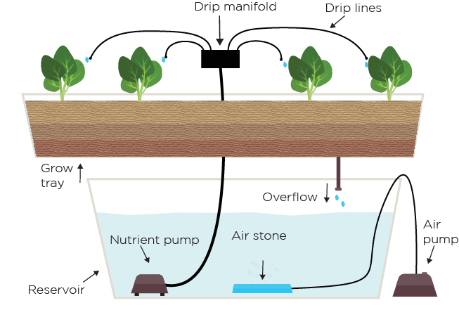 Easy To Build Hydroponic Drip System