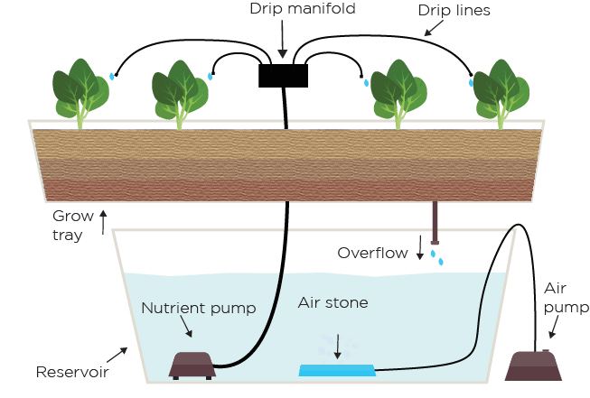 Hydroponic Drip System