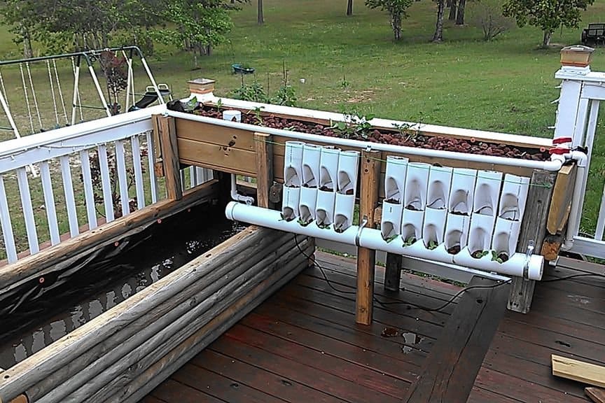 Easy Aquaponics From Repurposed Raised Beds