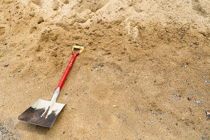 11 Different Types of Shovels Anatomy Uses Pictures Trees
