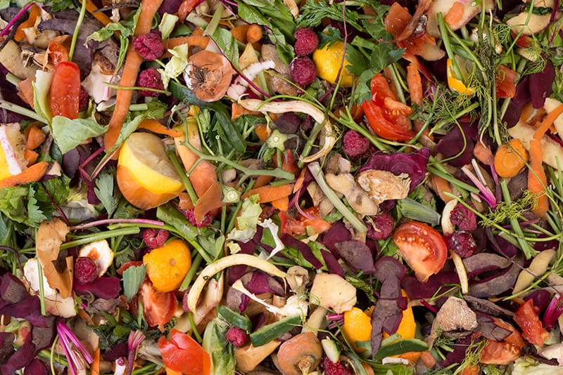 Fruit and Vegetable Scraps