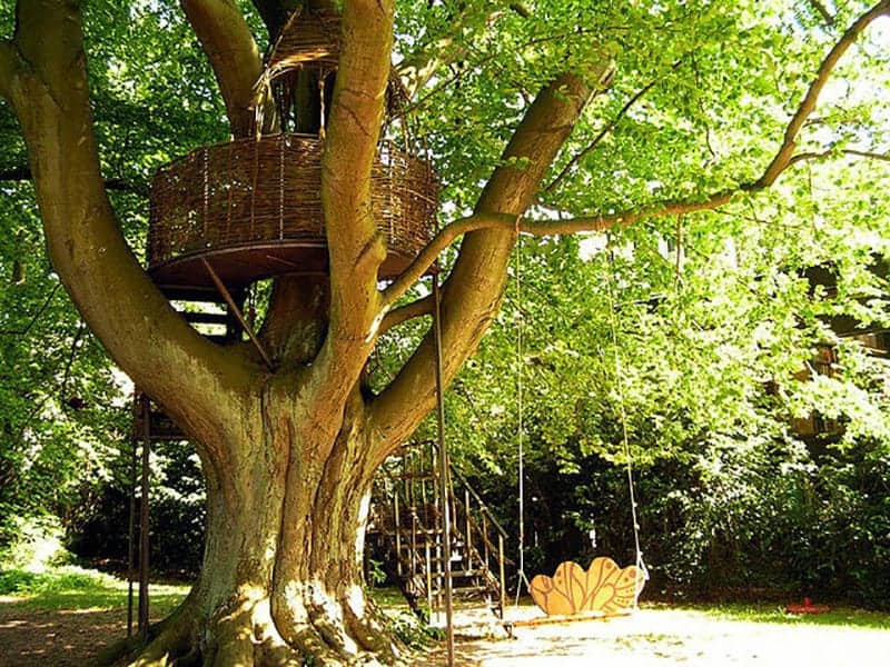 Featured image of post Building A Small Tree House