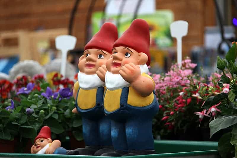 Gnomes' Red cap