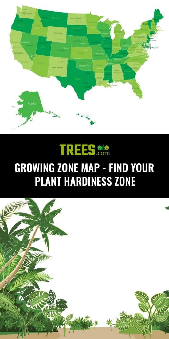 Growing Zone Map - Find Your Plant Hardiness Zone
