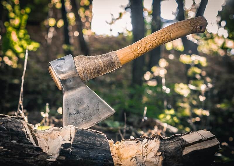 Dijk Nationale volkstelling baai 19 Types of Axes and Their Uses (Photos Plus Buying Guide) | Trees.com