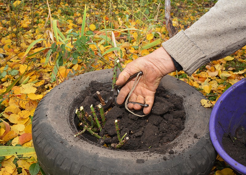 Insulate Soil