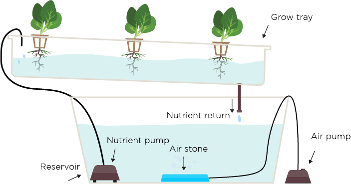 NFT Nutrient Film Technique