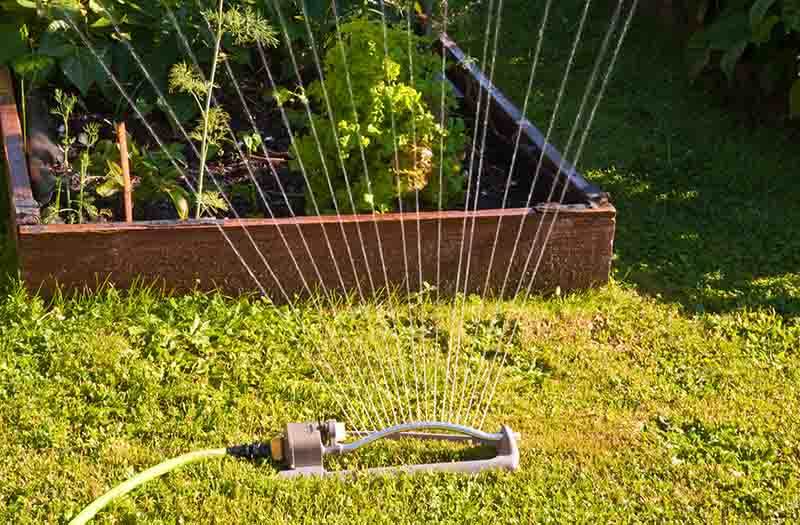 Oscillating Sprinkler