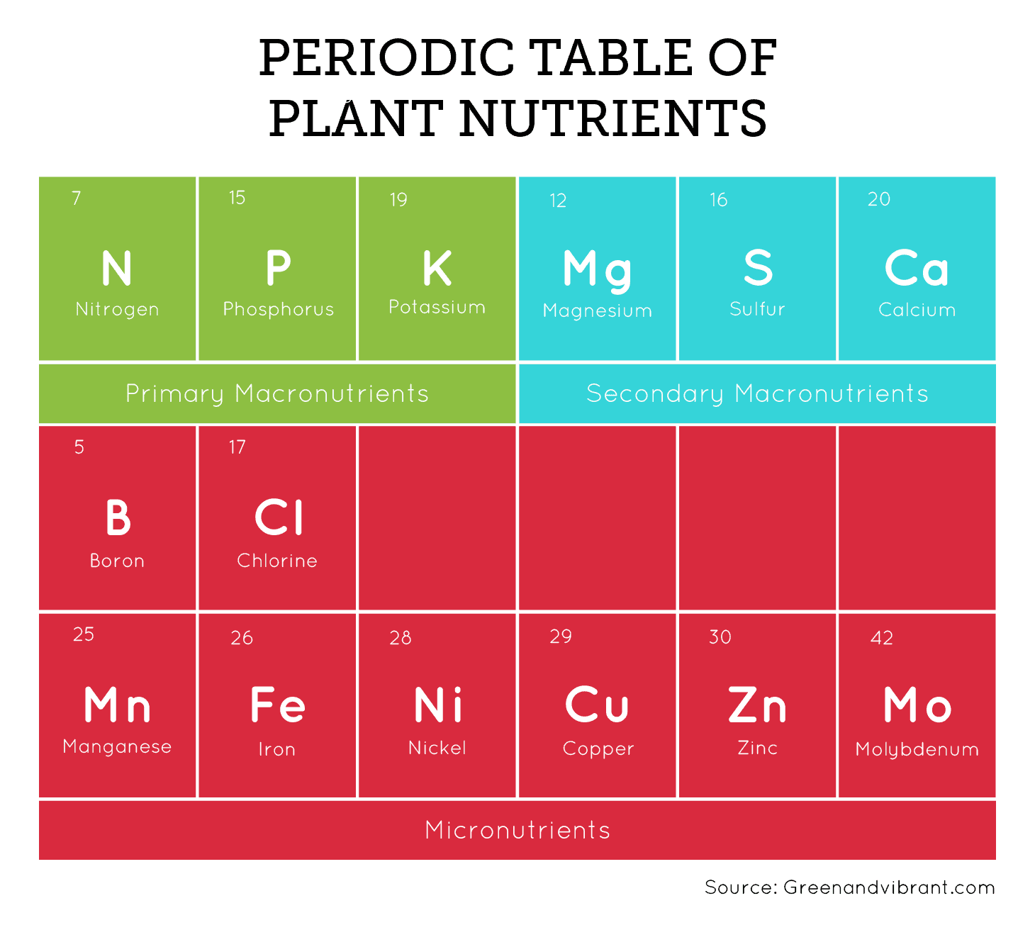 Cal Mag for Plants - What You Need to Know