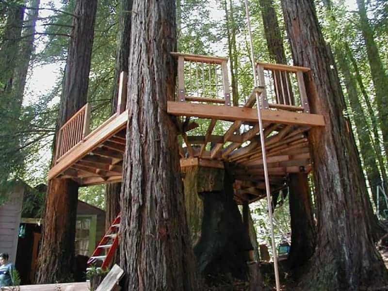 Redwood Stump Tree Deck by Shawnconna