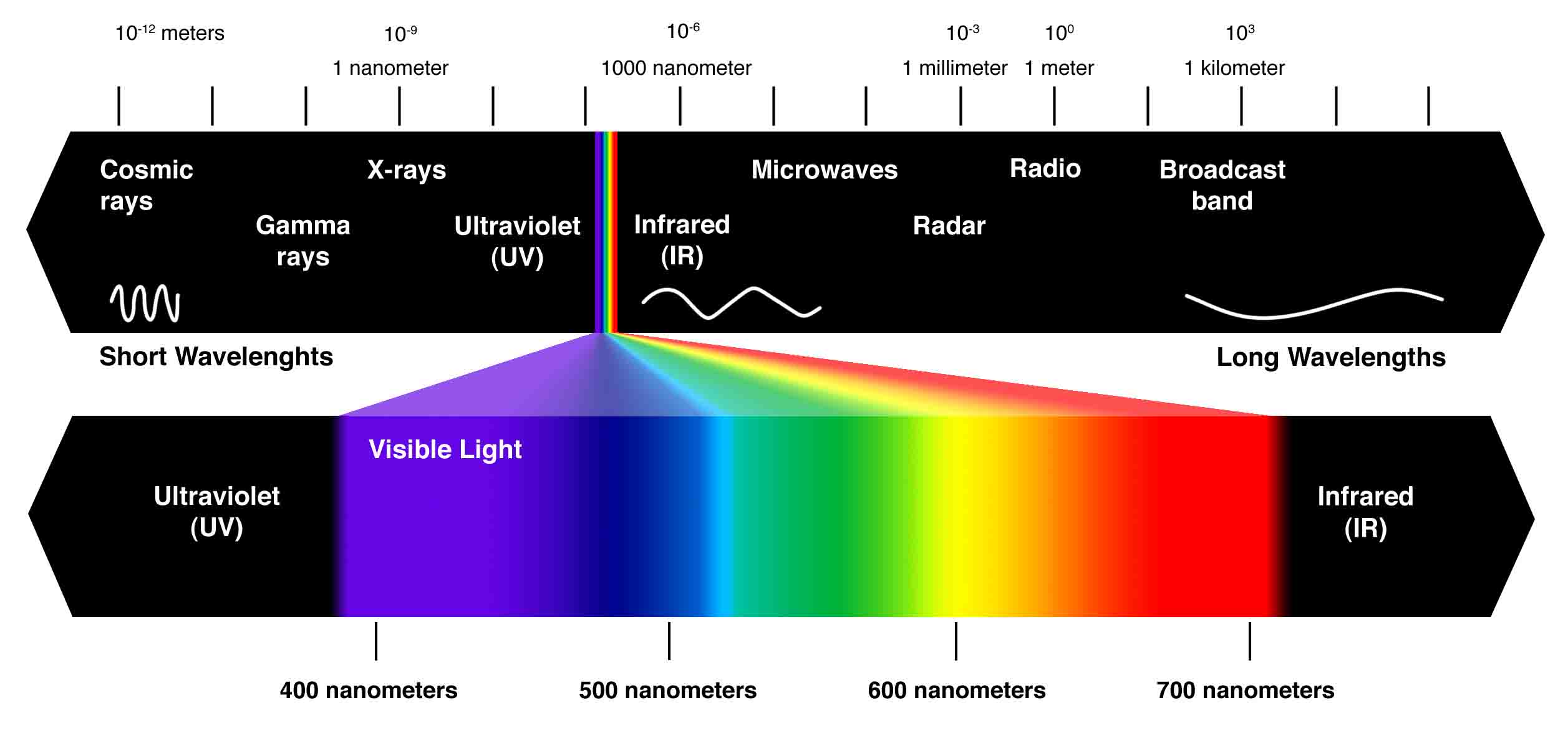 Understanding Light for House Plants: Types of Light and How to Measure