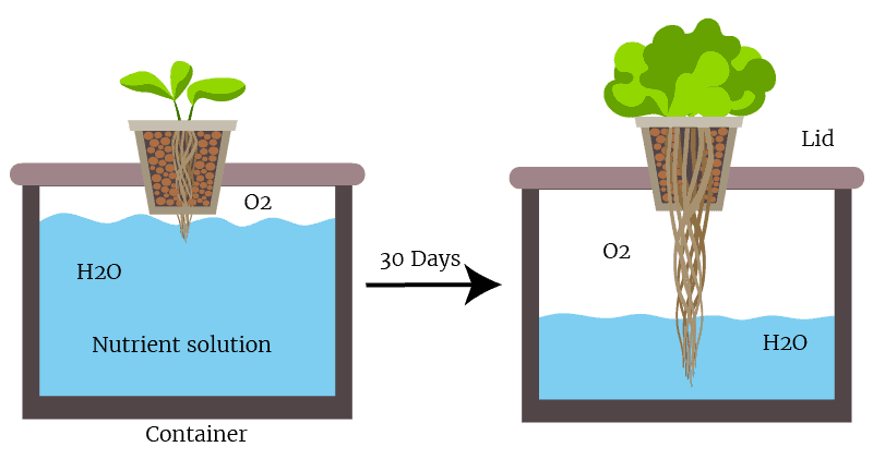 The Kratky method