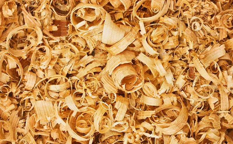 Untreated Sawdust and Wood Shavings