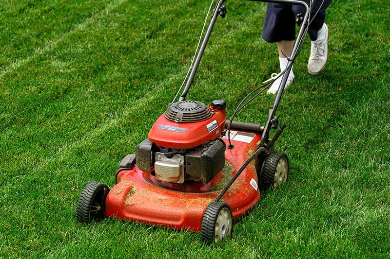 Walk Mowers