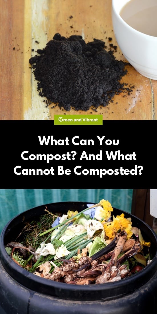 What Can You Compost? And What Cannot Be Composted?