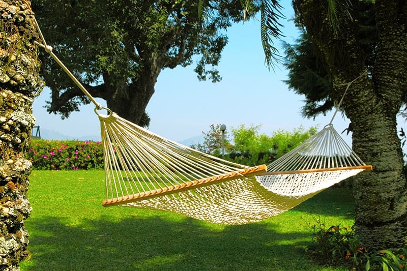 6 Best Backyard Hammocks Buying Guide Recommendations Trees
